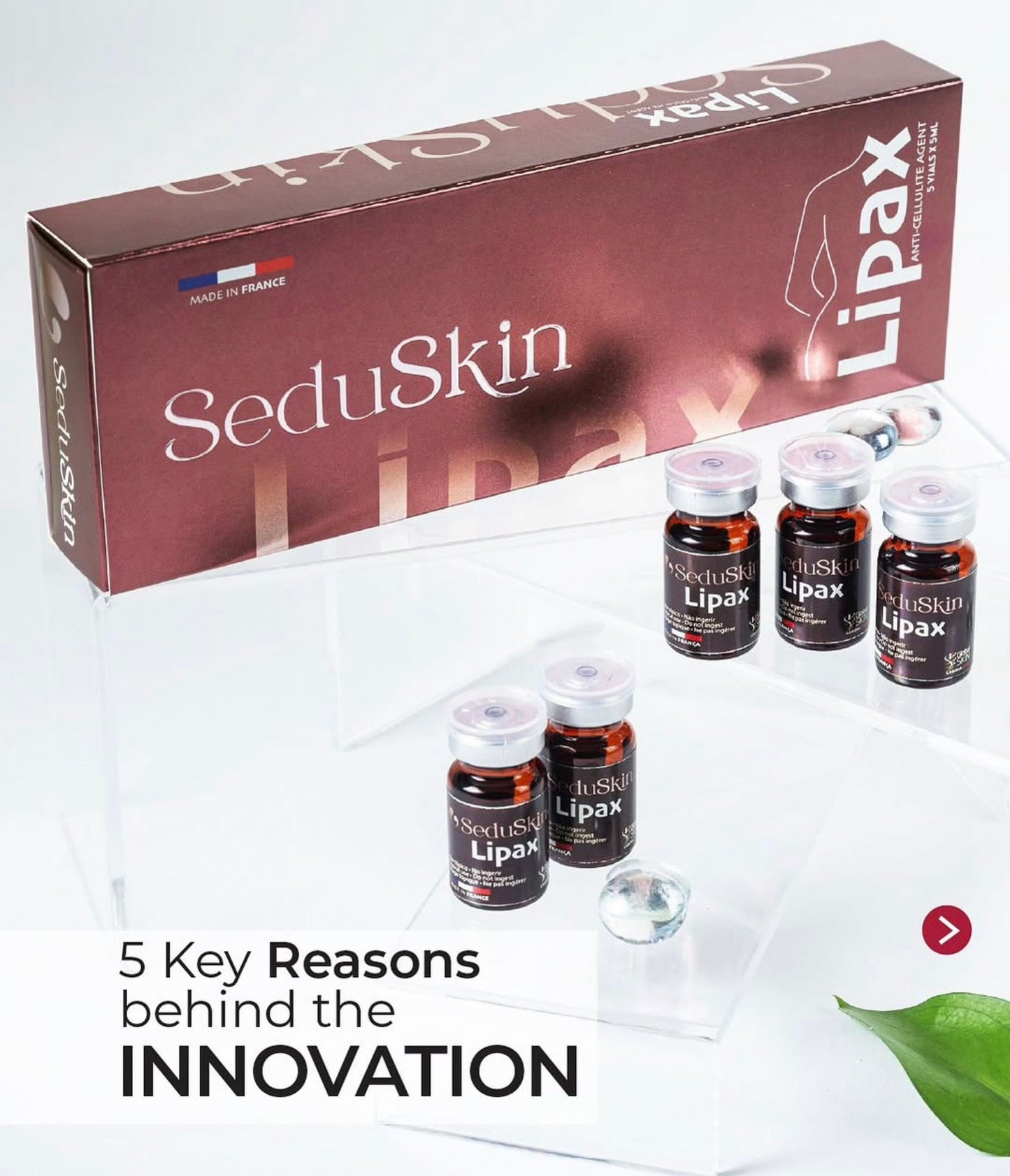 SEDUSKIN LIPAX LIPO ENZYME 1 DOOS 5X5ML